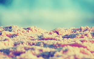 depth of field close up photography of white sands during daytime